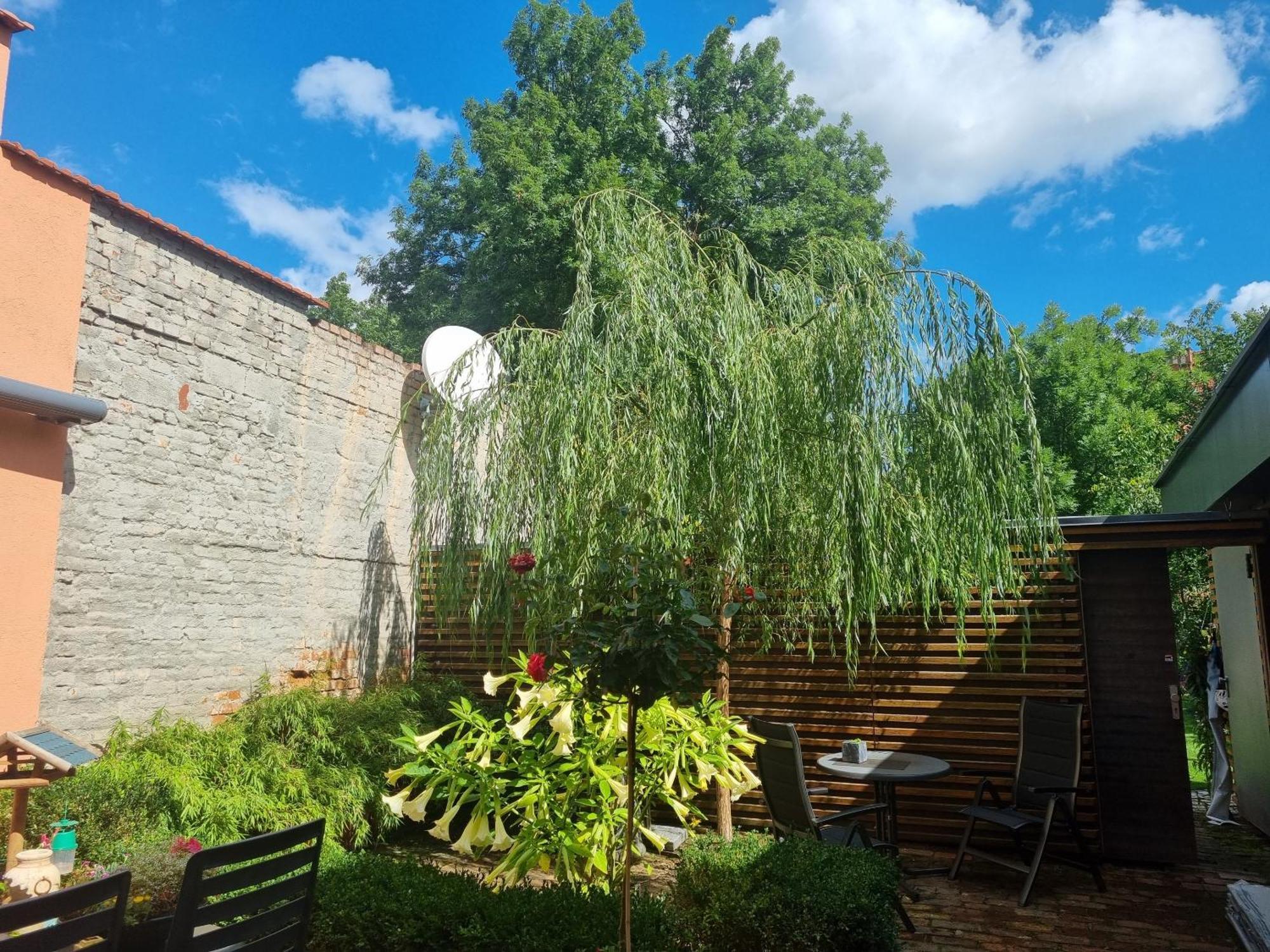 Apartments Junger-Moritz Эрфурт Номер фото